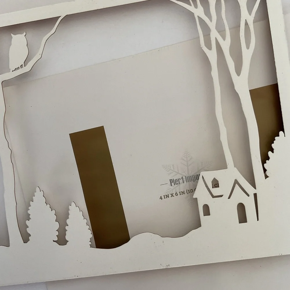 Pier 1 Shadowbox Weathered wood 4 x 6 picture Frame Home Decor